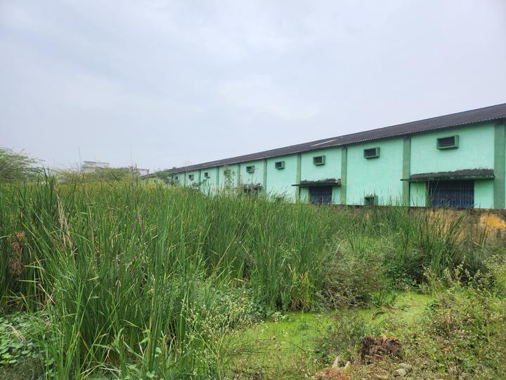 Vatluru Main Image 1