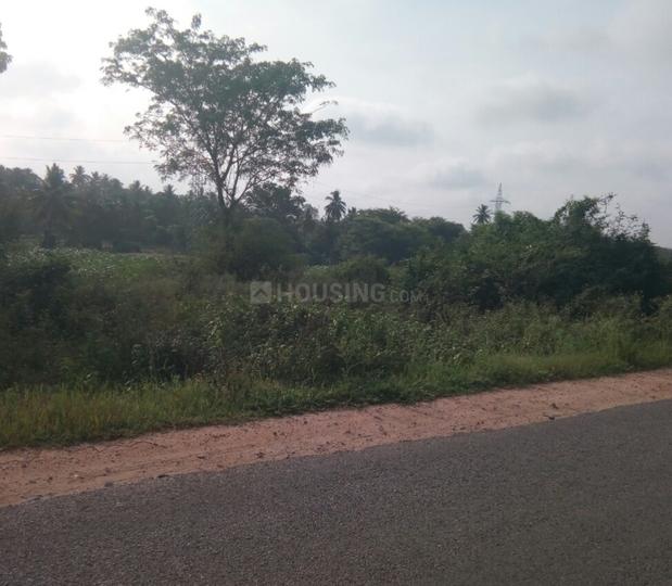 Residential 600 Sqft Plot for sale at Azad Nagar, Bangalore Property