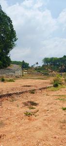 Image of 2178 Sq.ft Residential Plot / Land for sale in Kakkanad, Kochi for Rs. 1300000
