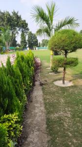Image of 9072 Sq.ft Residential Plot / Land for sale in Dkrrish Green Beauty Farms, Sector 135, Noida for Rs. 8000000