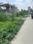 Subhasgram Plot View 2