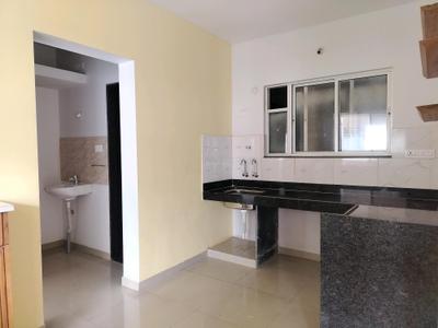 Kitchen Image of 1250 Sq.ft 2 BHK Apartment / Flat for rent in Akshar Elementa, Tathawade Pune for Rs. 29999