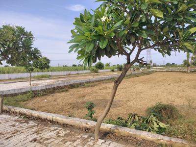 Image of 450 Sq.ft Residential Plot / Land for sale in Del NCR Aero City, Shahpur Kala, Greater Noida for Rs. 1156550