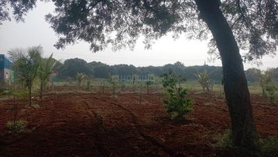 Image of 4356 Sq.ft Residential Plot / Land for sale in Nunna, Vijayawada for Rs. 1750000