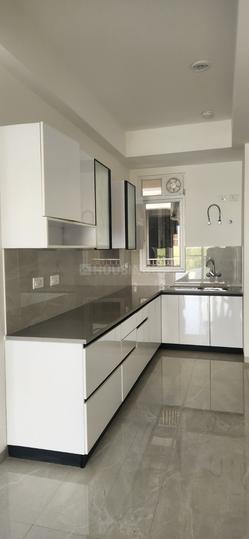 MRG Crown Main Image 1