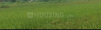 Image of 10000 Sq.ft Residential Plot / Land for sale in Koproli, Uran Taluka, Navi Mumbai for Rs. 1200000