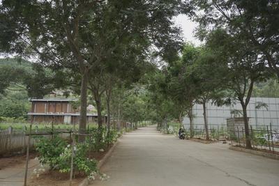 Image of 10000 Sq.ft Residential Plot / Land for sale in Nandi Hills, Chikballapur District for Rs. 90000000