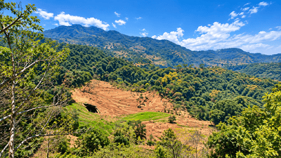 Image of 6000 Sq.ft Residential Plot / Land for sale in Mukteshwar, Nainital for Rs. 6666660