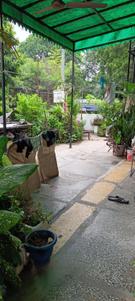 Image of 2000 Sq.ft 6 BHK Duplex for sale in RWA BK Dutt Colony, BK Dutt Colony, New Delhi for Rs. 17500000