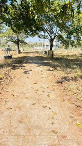Image of 1372 Sq.ft Residential Plot / Land for sale in Brahmapuri, Chandrapur for Rs. 1097600