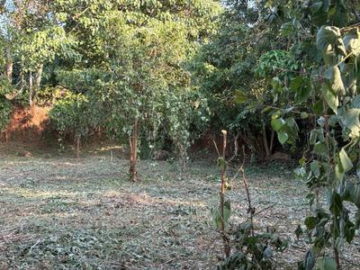 Image of 4356 Sq.ft Residential Plot / Land for sale in Velappaya, Killannur, Thrissur for Rs. 5750000