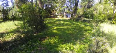 Bassi Plot View 1