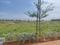 Anakaputhur Main Image 1