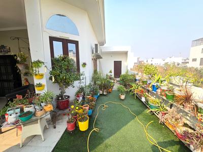 Balcony Image of 4350 Sq.ft 7 BHK Independent House for sale in Sona Enclave, Modinagar Ghaziabad for Rs. 50000000