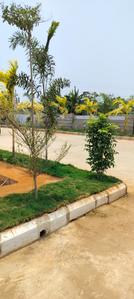 Image of 201 Sq.ft Residential Plot / Land for sale in Gannavaram, Vijayawada for Rs. 4221000
