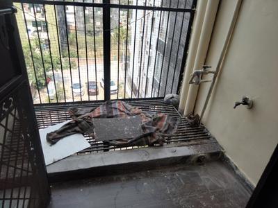 Image of 900 Sq.ft 2 BHK Builder Floor for rent in Indirapuram, Ghaziabad for Rs. 19500