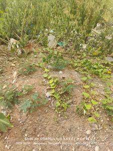 Image of 1200 Sq.ft Residential Plot / Land for sale in Vidyaranyapura, Bengaluru for Rs. 18800000