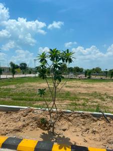 Image of 1515 Sq.ft Residential Plot / Land for sale in Narayan Vihar, Jaipur for Rs. 5951875