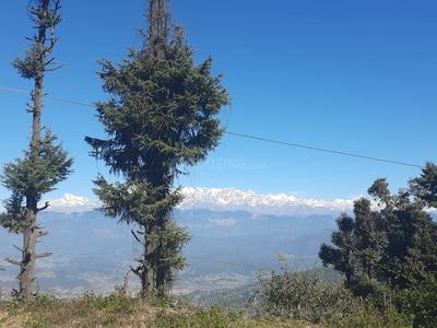 Image of 2700 Sq.ft Residential Plot / Land for sale in Haldwani, Nainital for Rs. 3500000