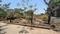 Residential NA Plot Talegaon Dabhade Plot View 2
