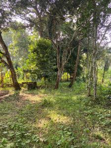 Image of 15000 Sq.ft 4 BHK Villa for sale in Mulanthuruthy, Kochi for Rs. 21600000