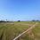 Bihta Plot View 2