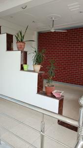 Hall Image of 1050 Sq.ft 2 BHK Builder Floor for rent in Jagjeetpur Haridwar for Rs. 6000