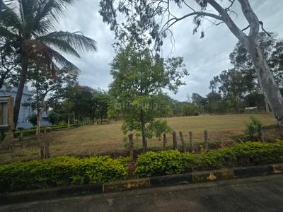 Image of 13000 Sq.ft Residential Plot / Land for sale in Doddajala, Bengaluru for Rs. 247000000