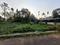 Angamaly Plot View 2