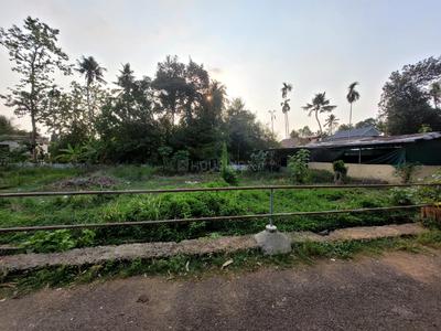 Angamaly Plot View 2