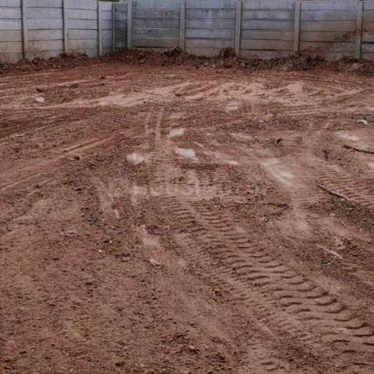 Pawan Vicenza Exotica Main Image 1