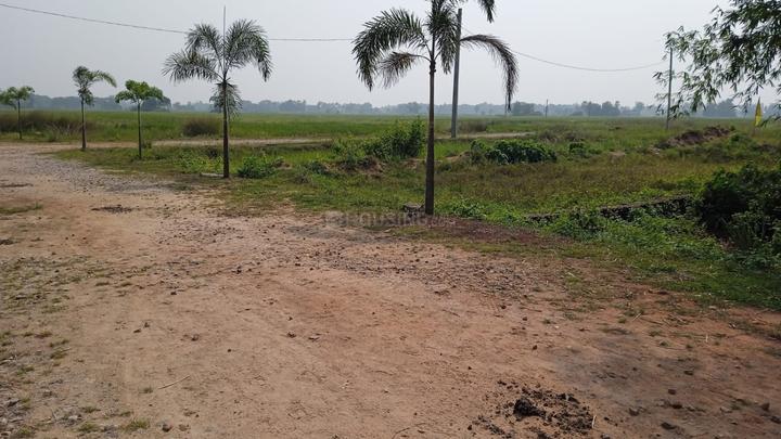 Balianta Main Image 1