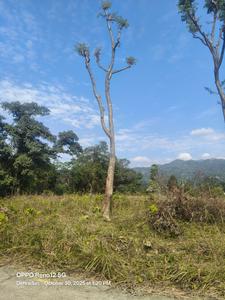 Image of 1800 Sq.ft Residential Plot / Land for sale in Ranipokhari, Dehradun for Rs. 4400000