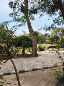 10 MARLA FACING PARK MUD HOUS PLOT Plot View 3