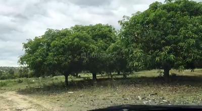 Image of 140000 Sq.ft Residential Plot / Land for sale in Santhapet, Chittoor for Rs. 87500000