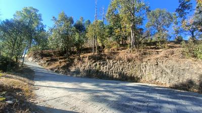 Image of 2160 Sq.ft Residential Plot / Land for sale in Mukteshwar, Nainital for Rs. 2500000
