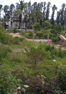 Image of 1200 Sq.ft Residential Plot / Land for sale in Sampigehalli, Bengaluru for Rs. 17000000