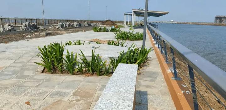 Mirrikh Residential Plot In Dholera Smart City Main Image 1