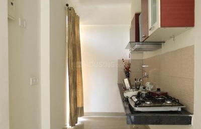 Kitchen Image of 840 Sq.ft 2 BHK Apartment / Flat for sale in Wave Dream Homes, Wave City Ghaziabad for Rs. 5500000