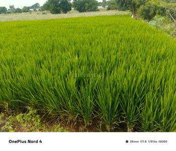 Image of 4840 Sq.ft Residential Plot / Land for sale in Moinabad, Hyderabad for Rs. 36000000
