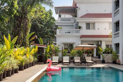 Image of 1829 Sq.ft 3 BHK Apartment / Flat for sale in Assagao, Goa for Rs. 41000000