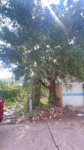 Image of 1350 Sq.ft Residential Plot / Land for sale in Pichandarkovil, Tiruchirappalli for Rs. 4400000