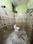 Sector 23A Bathroom 2