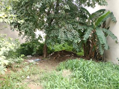 Karuna Kunj Plot View 1