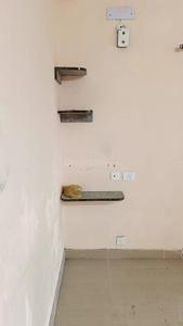 Hall Image of 585 Sq.ft 1 BHK Apartment / Flat for rent in Amrapali Dream Valley 2, Noida Extension Greater Noida for Rs. 12000