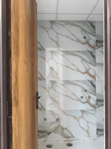 Common Bathroom Image of 1070 Sq.ft 2 BHK Apartment / Flat for sale in Skyline Pearl, Noida Extension Greater Noida for Rs. 4504000