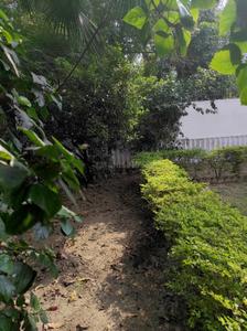 Image of 350 Sq.ft 1 RK Studio for rent in Mahanagar, Lucknow for Rs. 13000