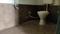 Dharti Utsav Bathroom Two 3