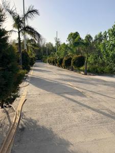 Image of 700 Sq.ft 2 BHK Villa for sale in ISBT Dehradun, Dehradun for Rs. 6600000