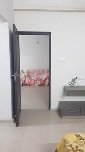 Hall Image of 1300 Sq.ft 2 BHK Apartment / Flat for rent in Ganesh Colony Anand for Rs. 17000